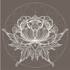 Elegant element of a stylized flower with smooth lines. Stylized floral element for design. © filkusto