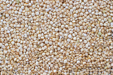 quinoa groats background closeup