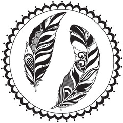 Ornamental feathers, swirly decorative element, vector illustration