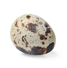 Obraz premium Quail egg close up on white isolated background. Side view.
