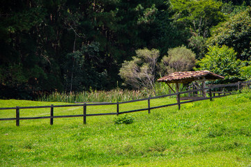 Paisagem Campo