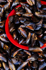 Shellfishes at market