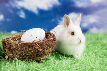 Easter rabbit. Colorful Easter eggs. 