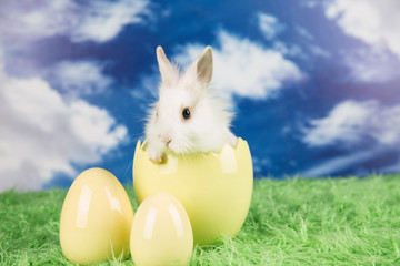 Easter rabbit in a shell of eggs. Pastel eggs.