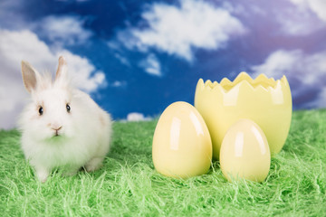 Easter rabbit. Colorful Easter eggs. 