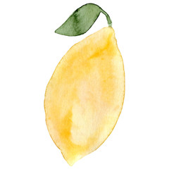 Watercolor lemon fruit. Hand drawn summer illustration. Design for fabric, packaging, textile, cover, postcard, paper, stationery, scrapbooking, wrapping, clothes, stickers, cards, posters, logo