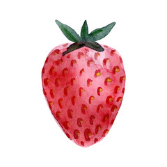 Watercolor strawberry fruit. Hand drawn summer illustration. Design for fabric, packaging, textile, cover, postcard, paper, stationery, scrapbooking, wrapping, clothes, stickers, cards, posters, logo