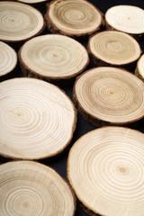 Pine tree cross-sections with annual rings on plane black surface. Lumber piece close-up shot.