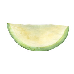 Watercolor melon fruit. Hand drawn summer illustration. Design for fabric, packaging, textile, cover, postcard, paper, stationery, scrapbooking, wrapping, clothes, stickers, cards, posters, logo