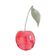 Watercolor cherry fruit. Hand drawn summer illustration. Design for fabric, packaging, textile, cover, postcard, paper, stationery, scrapbooking, wrapping, clothes, stickers, cards, posters, logo