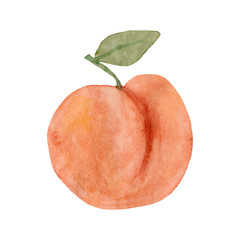 Watercolor peach fruit. Hand drawn summer illustration. Design for fabric, packaging, textile, cover, postcard, paper, stationery, scrapbooking, wrapping, clothes, stickers, cards, posters, logo - 255980741