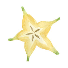 Watercolor carambola fruit. Hand drawn summer illustration. Design for fabric, packaging, textile, cover, postcard, paper, stationery, scrapbooking, wrapping, clothes, stickers, cards, posters, logo