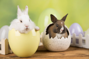 Easter rabbit in a shell of eggs. Pastel eggs.