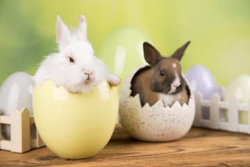 Easter rabbit in a shell of eggs. Pastel eggs.