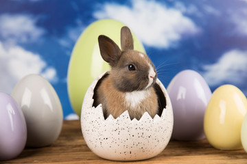 Easter rabbit in a shell of eggs. Pastel eggs.