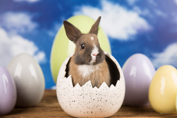 Easter rabbit in a shell of eggs. Pastel eggs.