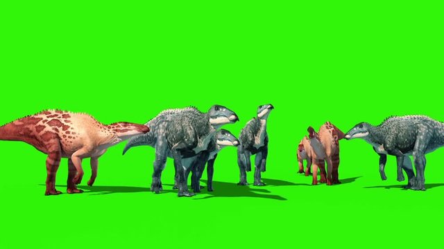 Group of Shantungosaurus Green Screen Front Jurassic World 3D Rendering Animation
