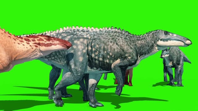 Group of Shantungosaurus Green Screen Jurassic World 3D Rendering Animation
