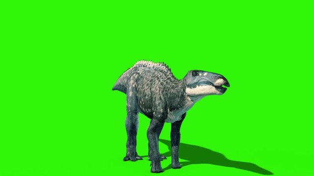 Shantungosaurus Roar Green Screen Jurassic World 3D Rendering Animation
