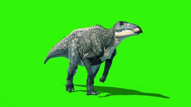Shantungosaurus Walkcycle Green Screen Skin 1 Jurassic World 3D Rendering Animation