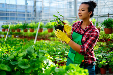 Black woman working in a botanical garden