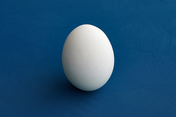 White egg on blue background