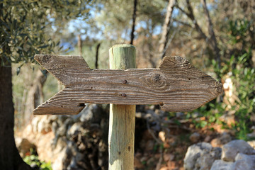 Pfeil aus Holz als Wanderzeichen