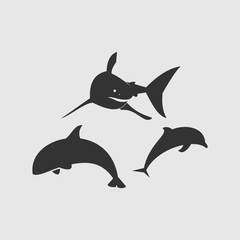 Dolphins, shark logo template