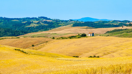 Fototapeta premium Evening in Tuscany. Hilly Tuscan landscape with cypress trees alley and farm house, Italy