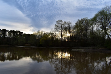 calm view of pelahatchie bay