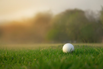 Golf ball is on a green lawn in a beautiful golf course