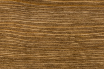 background of pine wood surface