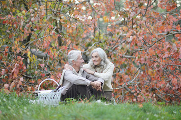 Portrait of elderly couple having a picnic in park