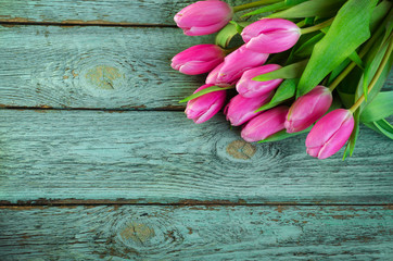 Row of pink tulips against a blue background with space for the text. Festive flower background for a Mother's Day or other celebration.
