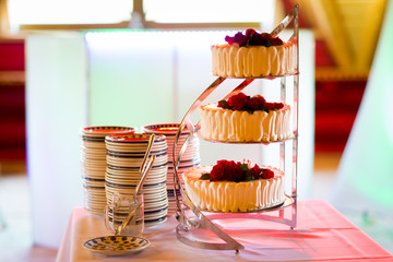 Delicious tasty wedding cake detail