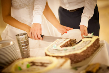 Obraz na płótnie Canvas Newlyweds wedding cake cutting detail