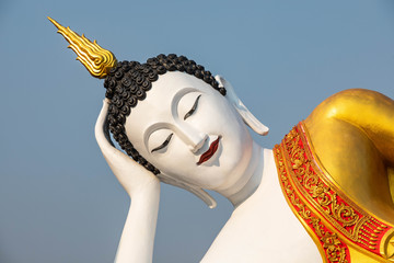 green giant contrasting with the white Buddha, Wat Phra That Doi Kham temple, Chiang Mai, Thailand