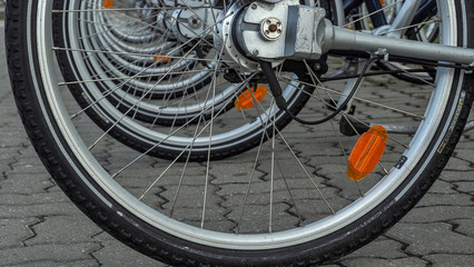 OLYMPUS DIGITAL CAMERA © martagro