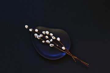 Blossoming willow branches on black clay plate of unusual shape on black background. Symbolic concept — spring, new life.