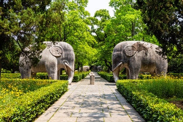 Elephant statues in the sacred way in Ming Xiaoling Mausoleum, located on mount Zijin, Nanjing,...