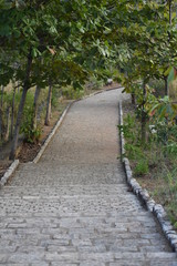 Obraz premium Way of Peace