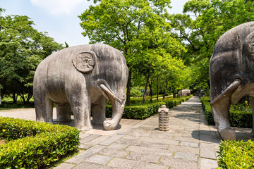 Elephant statues in the sacred way in Ming Xiaoling Mausoleum, located on mount Zijin, Nanjing,...