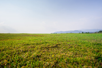 landscape of grass field and green environment public park use as natural background, backdrop.