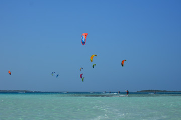 People practicing kitesurfing on a beautiful summer day - Caribbean - Archipelago of Los Roques - Venezuela