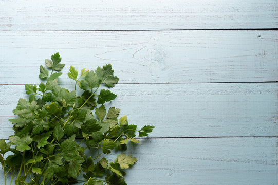 Fresh parsley on  wooden background with copy space