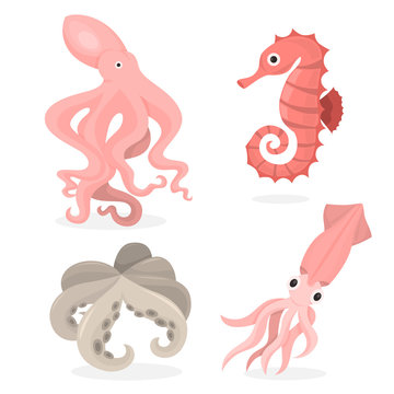 Seafood. Octopus and sea horse, squid. Ocean and sea