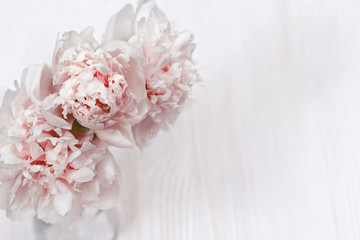 Flowers peonies in glass vase. Still life. Concept of mother, wooden, Valentines day. Soft selective focus.