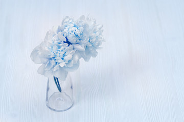 Beautiful blue peony flower in vase on blurred background. Copy space for your text. Pastel colored flowery greeting card. Soft selective focus.