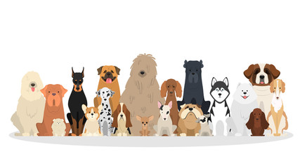 Dog set. Collection of dogs of various breed © inspiring.team