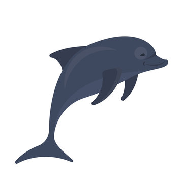 Dolphin jumping. Blue aquatic mammal creature playful